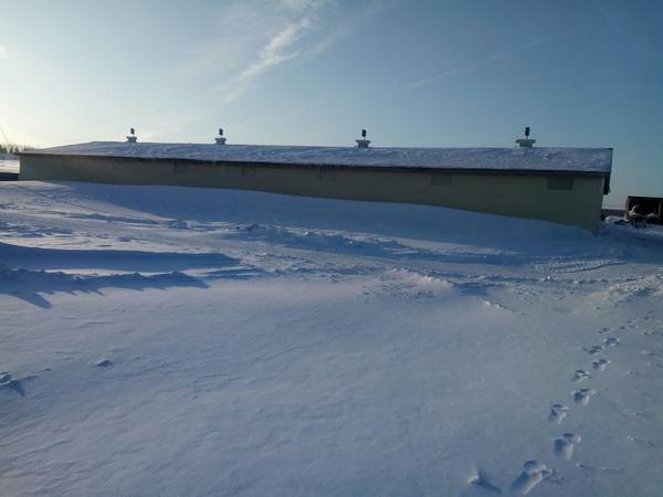 Ферма- КФХ Мустафин А.И.